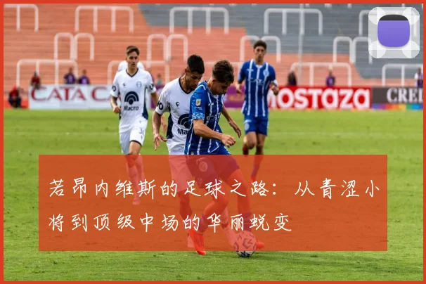 若昂内维斯的足球之路：从青涩小将到顶级中场的华丽蜕变