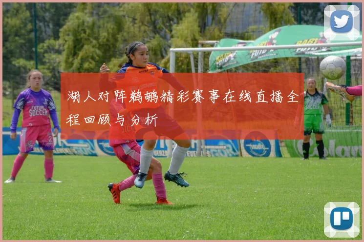 湖人对阵鹈鹕精彩赛事在线直播全程回顾与分析