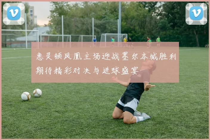 惠灵顿凤凰主场迎战墨尔本城胜利期待精彩对决与进球盛宴